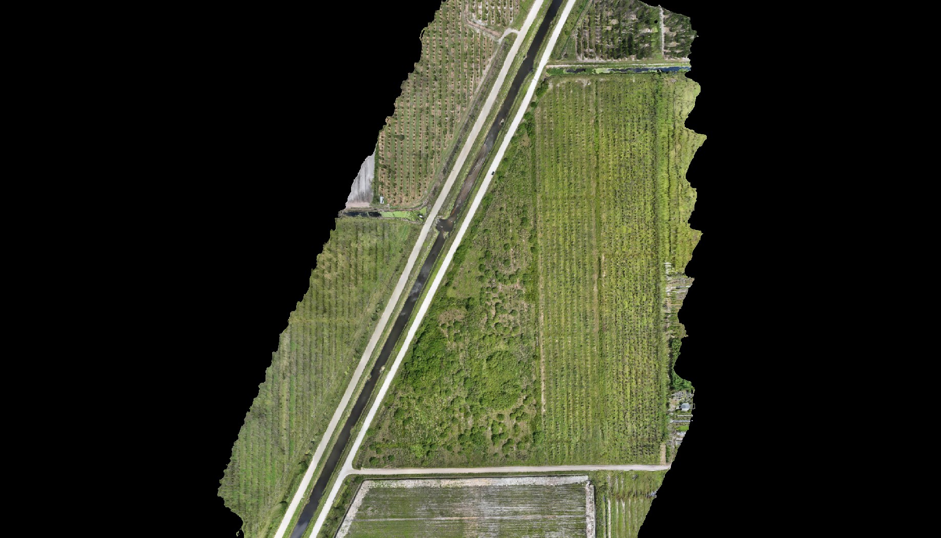 Drone Image